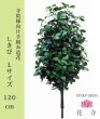 画像1: しきび 造花 Ｌサイズ120cｍ (1)