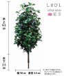 画像2: しきび 造花 Ｌサイズ120cｍ (2)